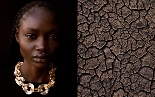 Pangea with Laura Eusebi — The Collector Magazine