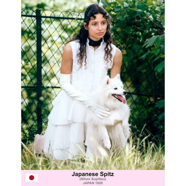 The Books Of Dogs — Vogue Scandinavia