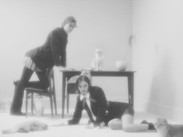 Loving You - 5 Cats 2 Models — Numéro Netherlands