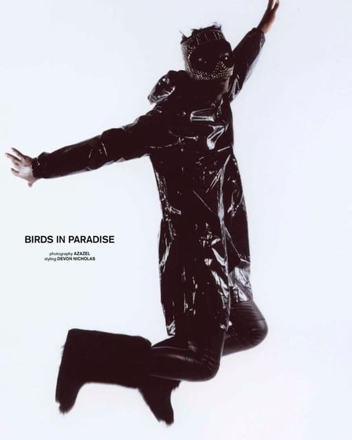 Birds in Paradise by Azazel — Lewis Magazine