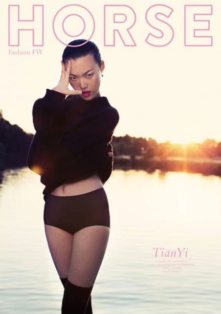 Horse Magazine Fall 2013- 3 TEASER COVER... — Horse Magazine