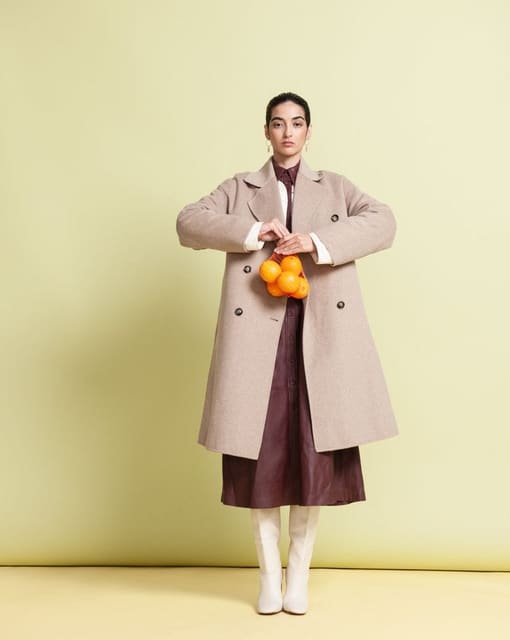 Autumn Coat story by David Newby — The Guardian
