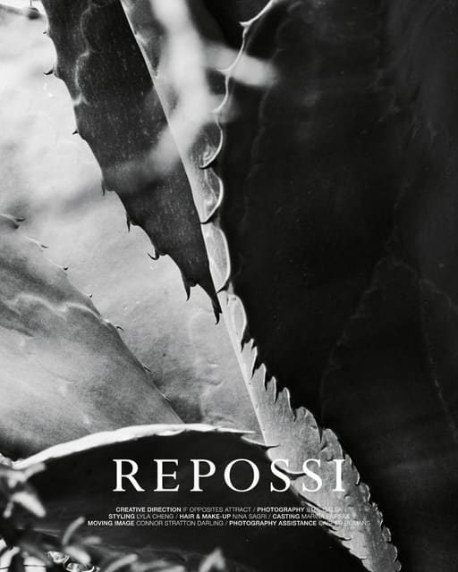 Repossi by Stef Galea — Repossi