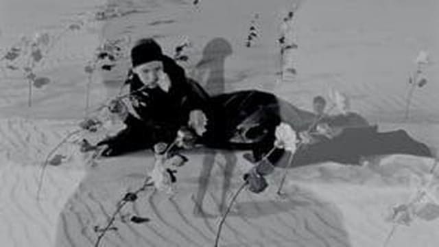 Magda Butrym F/W 23 Campaign — Magda Butrym