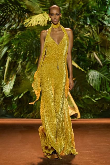 Roberto Cavalli S/S 24 Show — Roberto Cavalli