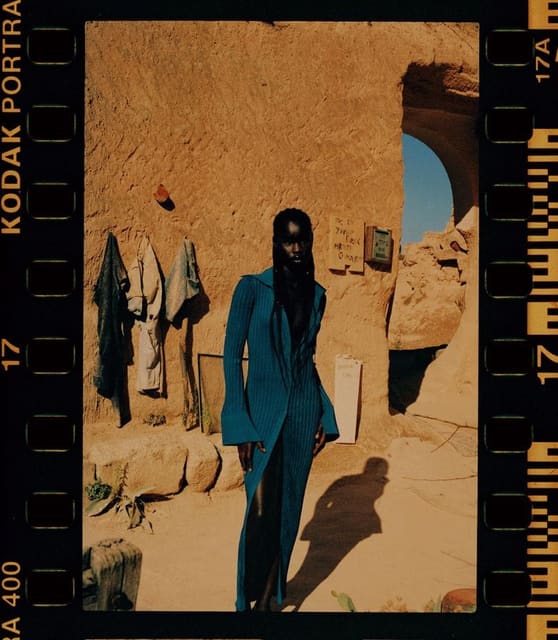 The Fairy in the Valley — Schön Magazine