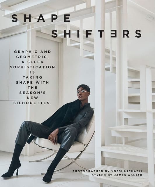Shape Shifters — Modern Luxury