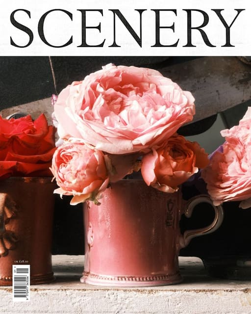 Scenery #1 2023 Covers