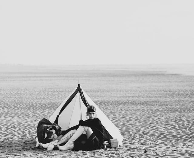 Wild At Heart — Harper's Bazaar U.S.