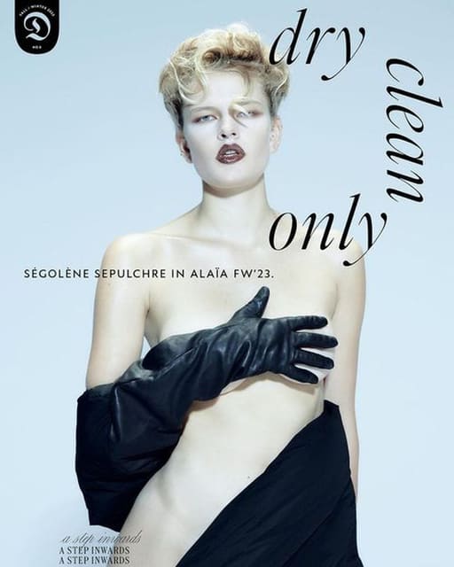 Dry Clean Only Magazine F/W 23 Digital C... — Dry Clean Only Magazine