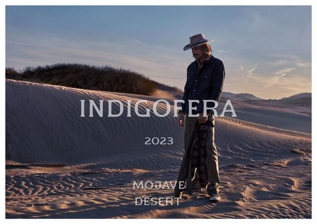 Indigofera