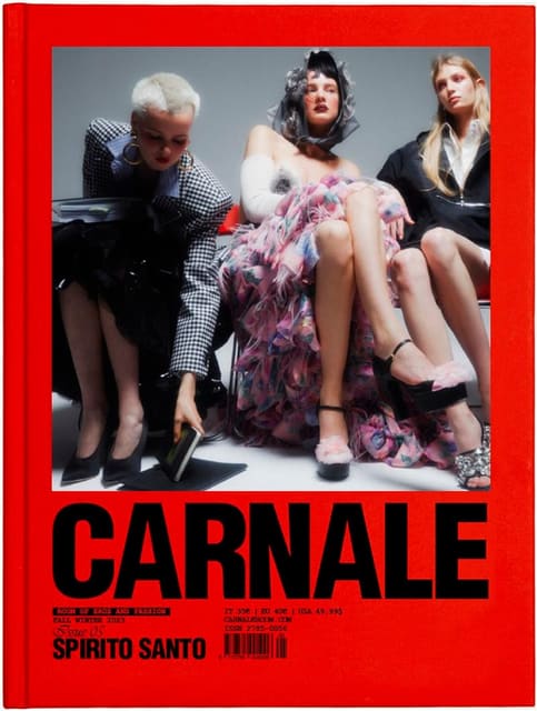 CARNALE 05 - SPIRITO SANTO - COVERS — Carnale Room