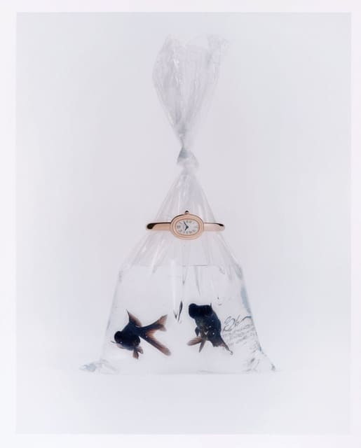 Still Life — Harper's Bazaar U.S.