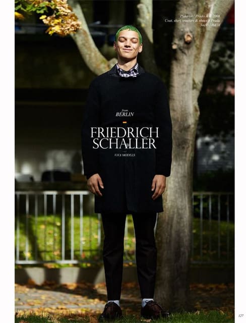 Friedrich Schaller — 2