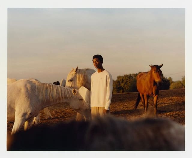 Timi Adisa — 6