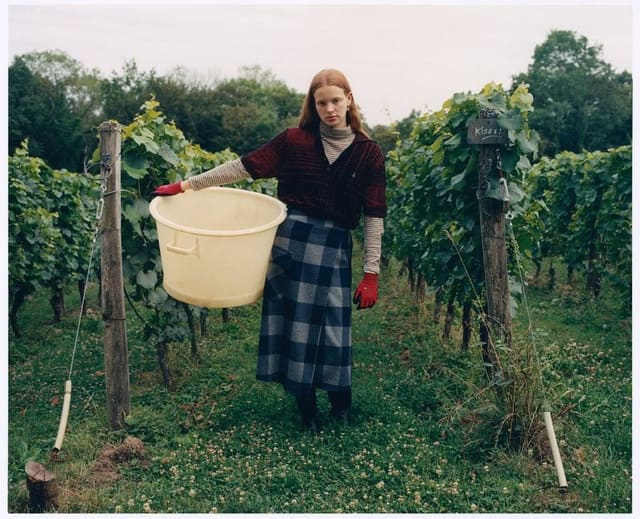 Un'ottima Annata — Vogue Italia