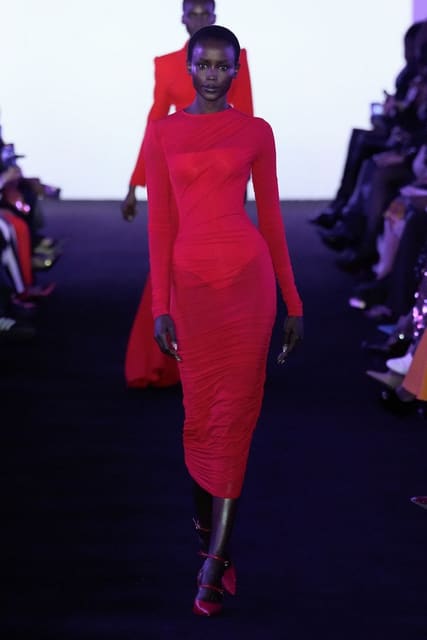 Sergio Hudson F/W 24 Show — Sergio Hudson