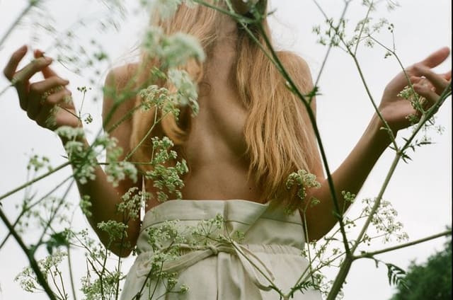 The Spring Project — Jil Sander
