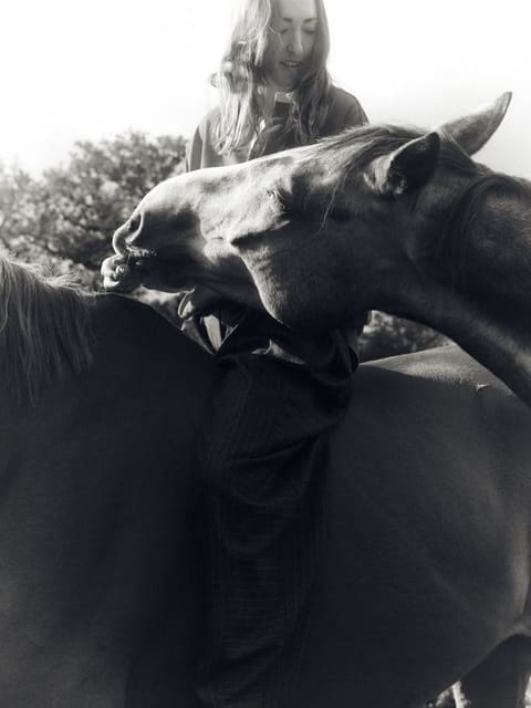 Healing Power of Horses — Stella McCartney