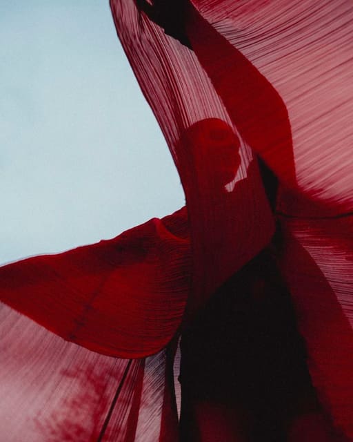 In Bloom — Numéro Switzerland
