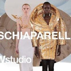 How Daniel Roseberry Is Making Schiaparelli His Own — SHOWstudio