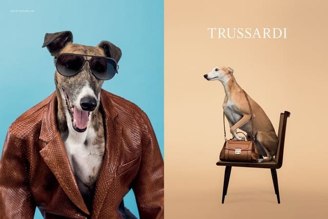 Trussardi S/S 14 — Trussardi