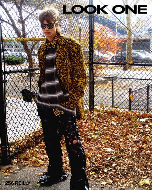LOOK 256 REILLY — LOOK ONE