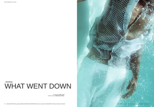 WHAT WENT DOWN — Mia Le Journal