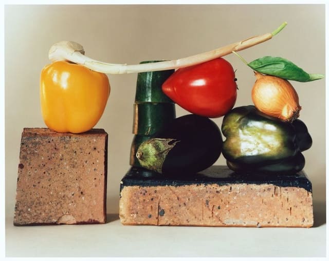 The ratatouille — Holiday Magazine