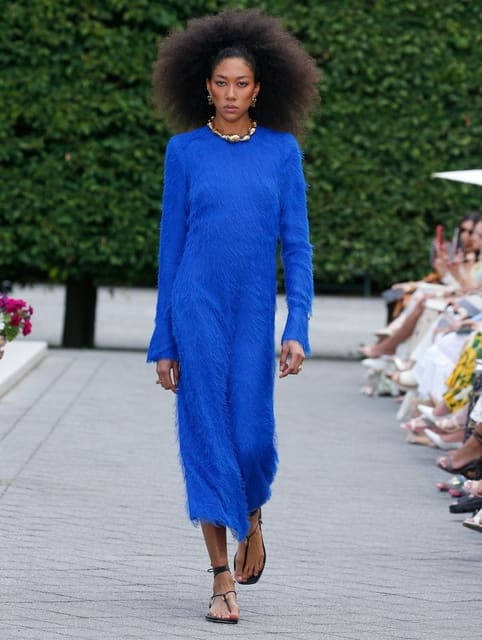 Aoki Lee Simmons — 3