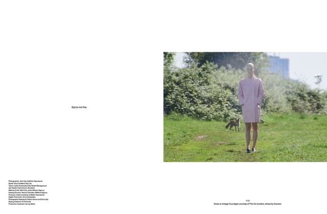 Pink by Jack Day — Middle Plane Magazine