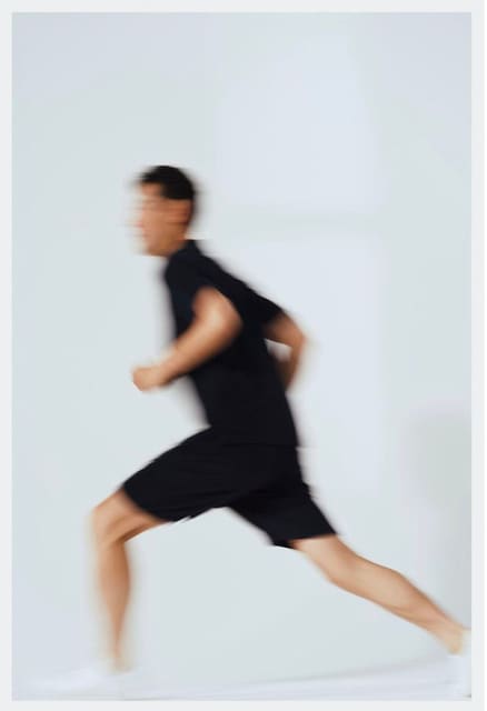 Phase 3 SS23 — Moss