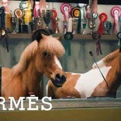 Hermes PONY DANCE FALL 2023 — Hermès