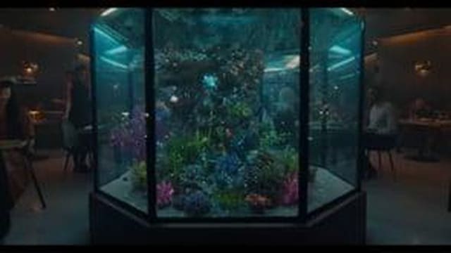 Love at first sight - directed by Henry Scholfield — Samsung