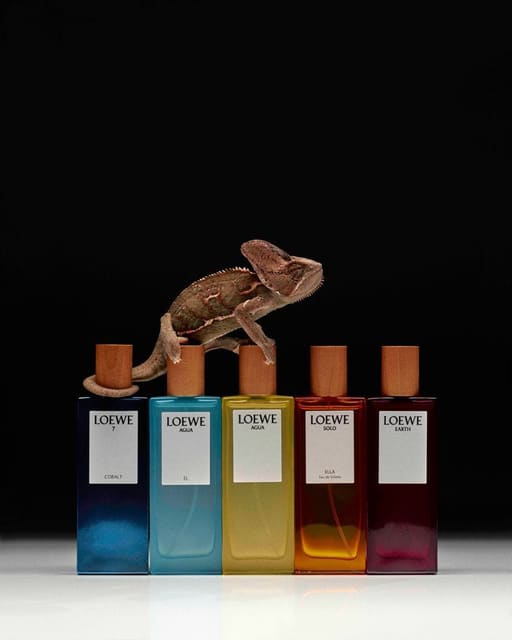 Colour & Scent — Loewe