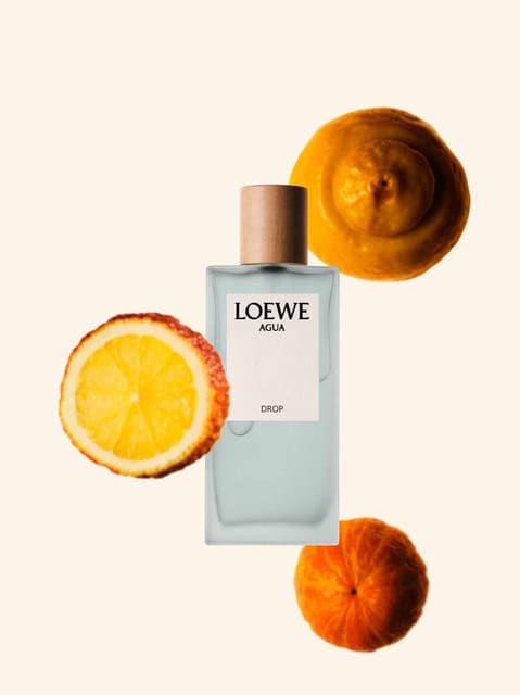LOEWE PERFUMES Summer 2024 — Loewe