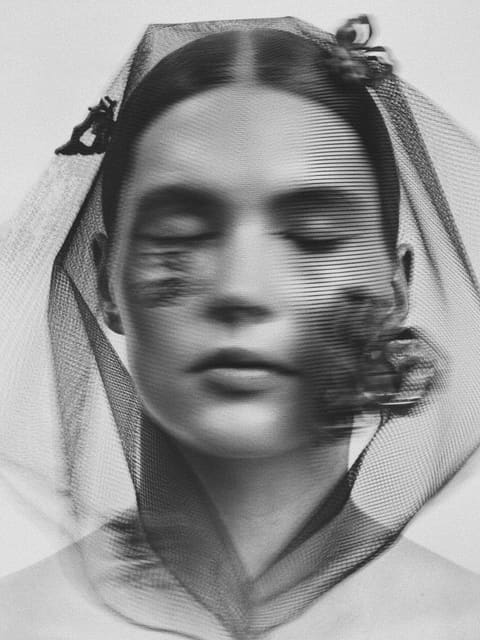 Tess Van Zalinge Campaign — Special Projects
