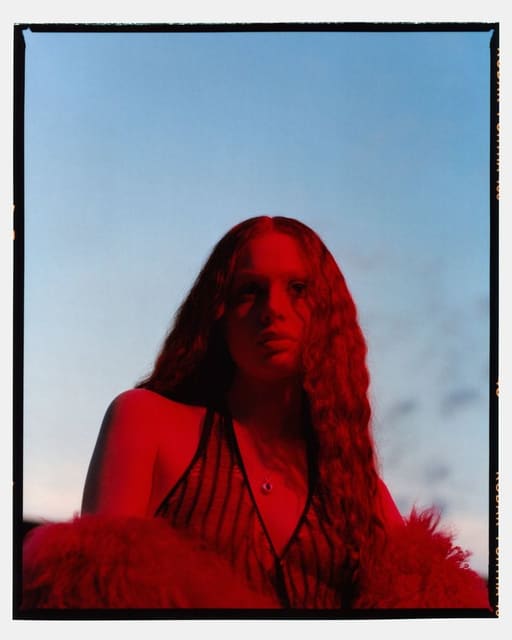 Faint Young Sun — Teeth Magazine