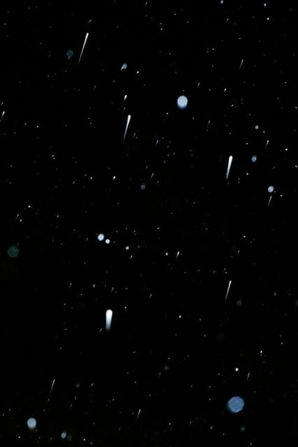 Colors of Midnight — Special Projects