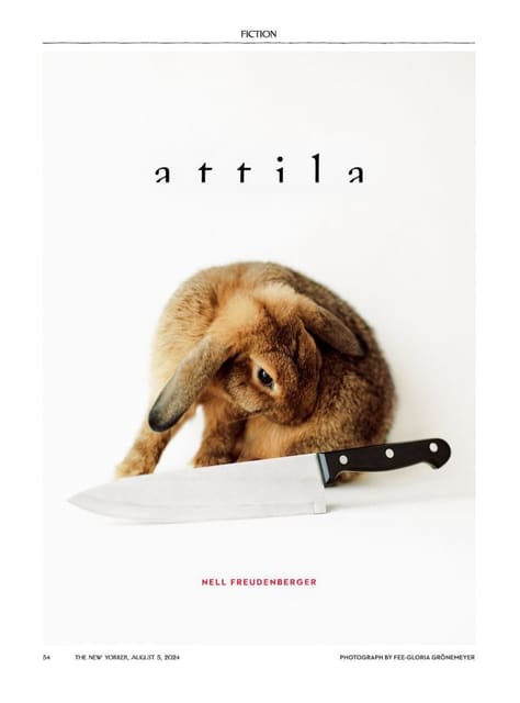 Attila by Nell Freudenberger — The New Yorker