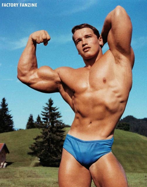 Arnold Schwarzenegger Scrapbook - FACTOR...