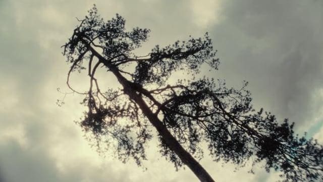 The First Touch — Nowness