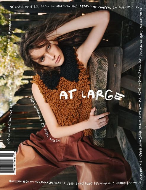 At Large Magazine #22 Fall/Winter 2024 C... — At Large Magazine