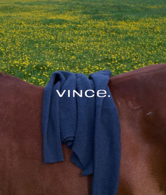 Still life — Vince