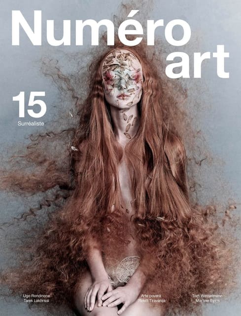 Numéro Art #15 2024 Cover — Numéro Art