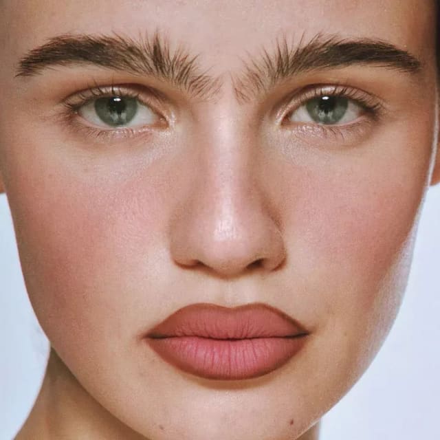 PLUMPING POWDER MATTE LIP — Kylie Cosmetics