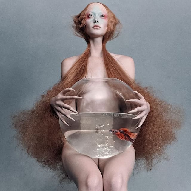 Surréaliste — Numéro Art