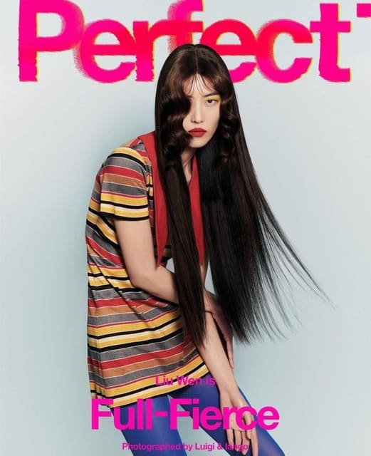 The Perfect Magazine Issue 7 Fall/Winter... — The Perfect Magazine