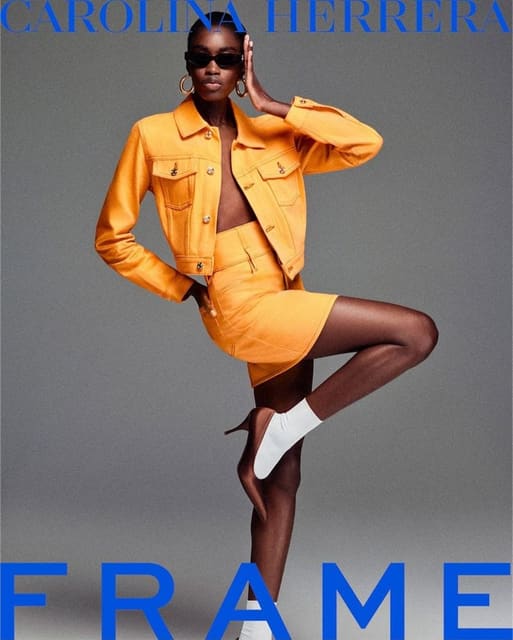 Carolina Herrera x FRAME — Carolina Herrera