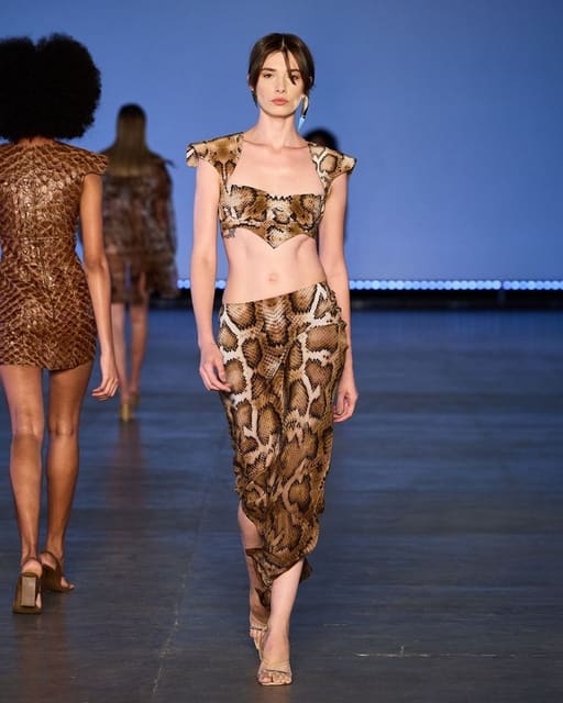 Desfile A/W 25 — Lenny Niemeyer